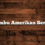 Bambu Amerikan Servis